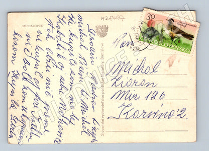 Pohlednice Slovensko Michalovce ulice 195X (M28497)