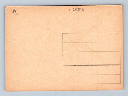 Pohlednice kolibřík u květin (M28571)