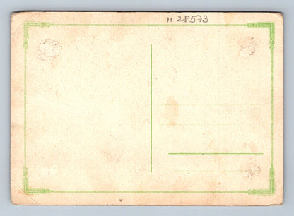 Pohlednice abstraktní zimní motiv stromů (M28573)