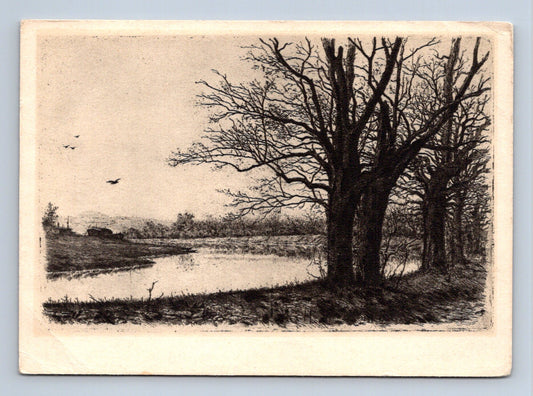 Pohlednice Veltruský park lept L. Čepelák (M28585)