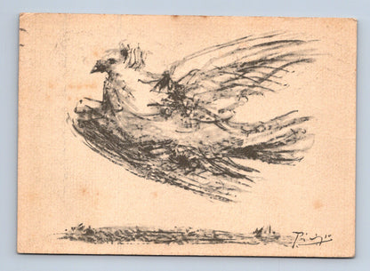 Pohlednice Picasso Holubice míru 1951 (M28592)