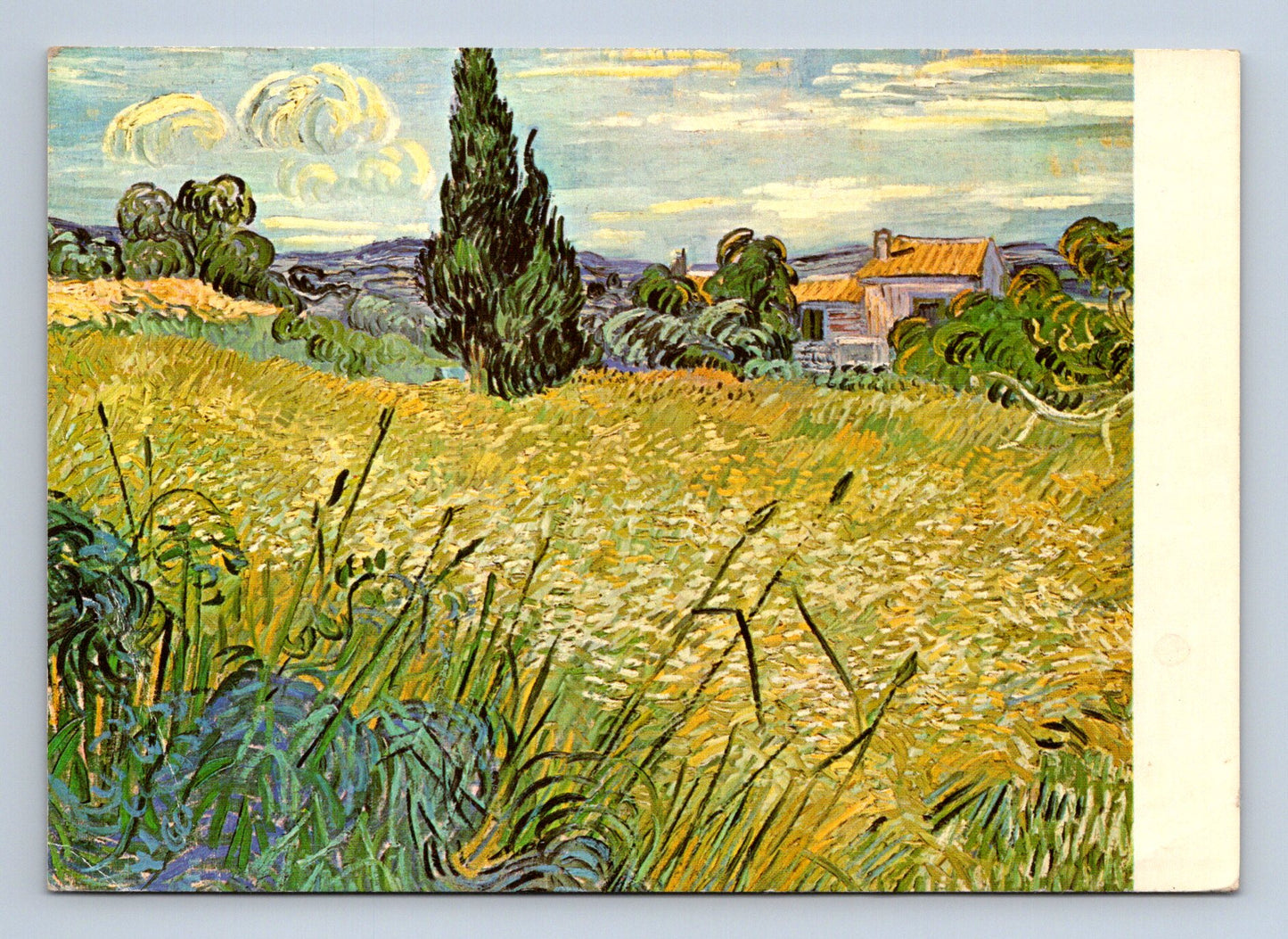 Pohlednice reprodukce Vincent van Gogh Zelené žito (M28601)