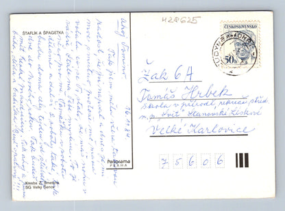 Pohlednice Štaflík a Špagetka kocouři Z. Smetana 1984 (M28625)