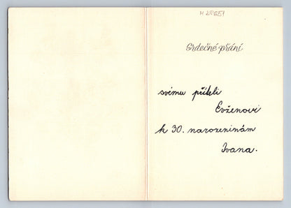 Pohlednice kytice květin narozeninové přání (M28651)