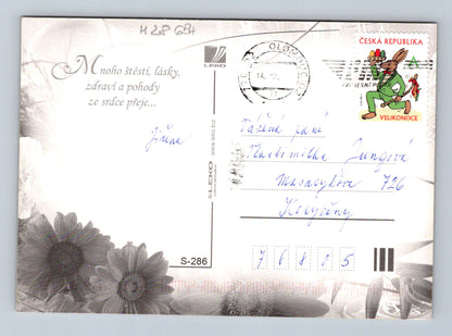Pohlednice Květiny Velikonoce (M28654)