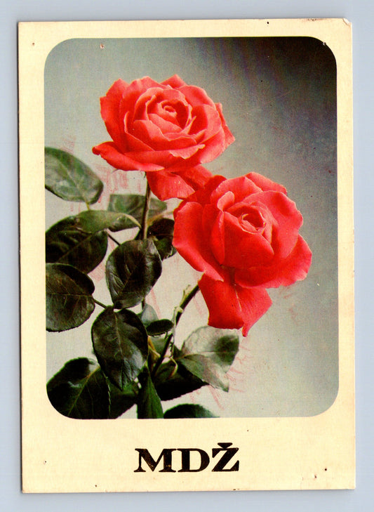 Pohlednice dvě červené růže 1986 (M28656)