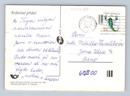 Pohlednice Kytice červených růží 2001 (M28659)