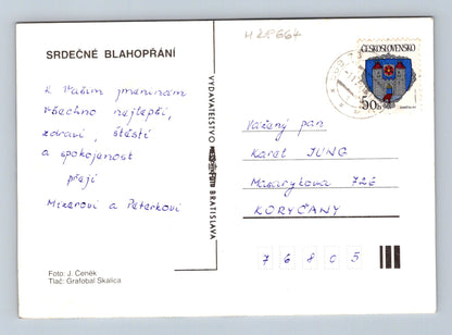 Pohlednice Růže s kapkami vody 196x (M28664)