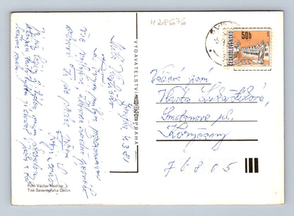 Pohlednice Dvě růže 1951 (M28676)