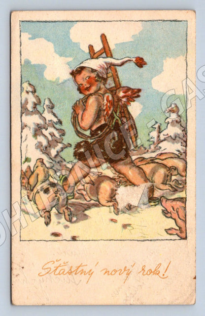 Postcard ethnographic motifs New Year's greetings (M2868)