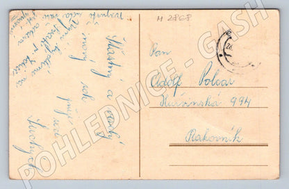 Postcard ethnographic motifs New Year's greetings (M2868)