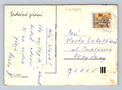 Pohlednice žluté květiny ve váze 1960 (M28681)