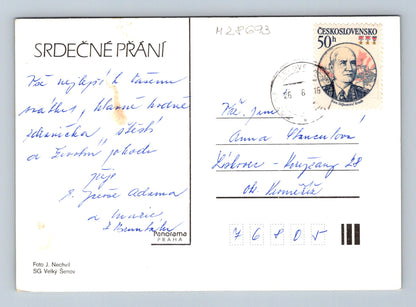 Pohlednice Květiny azalky v míse 1976 (M28693)