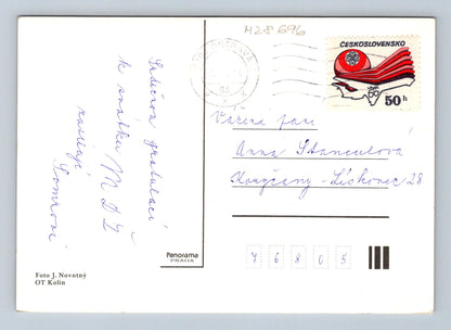 Pohlednice s kyticí růží MDŽ 1983 (M28696)