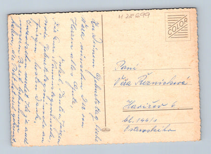 Pohlednice blahopřání květiny (M28699)