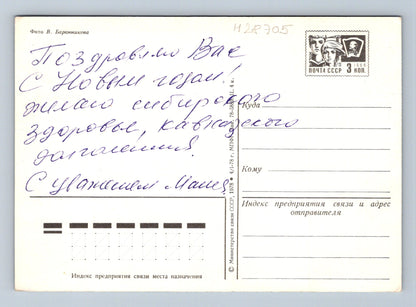 Pohlednice SSSR Květiny Nový rok 1978 (M28705)