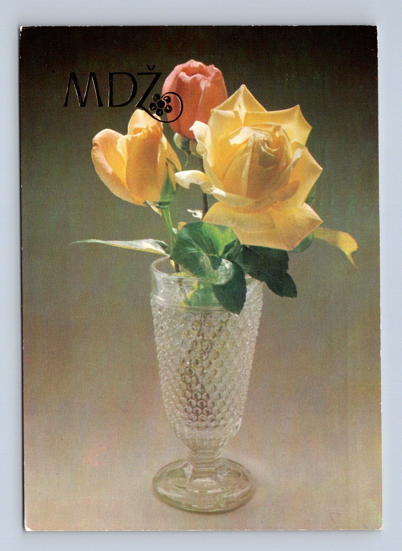 Pohlednice květy růže a tulipány 1985 (M28710)