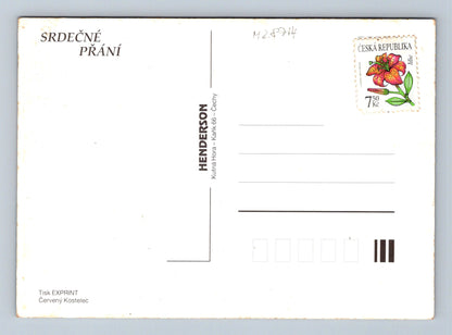 Pohlednice Květiny narcisy alstromerie (M28714)