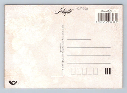 Pohlednice kytice květin Gratulujeme (M28715)