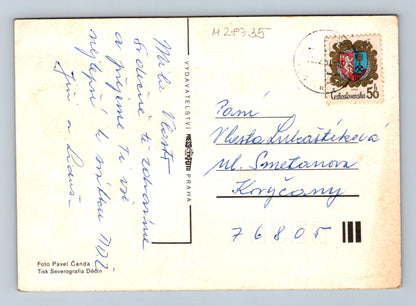 Pohlednice Květiny narcisy (M28735)