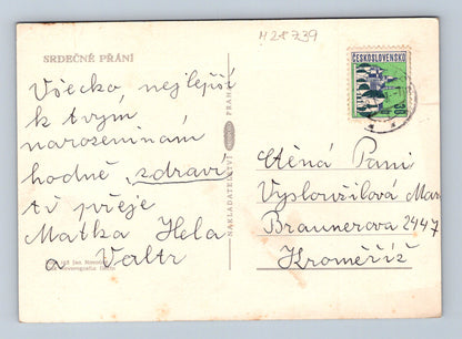 Pohlednice Květiny růžové květy (M28739)