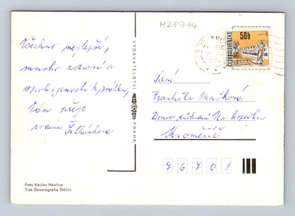 Pohlednice Růže 1956 (M28744)