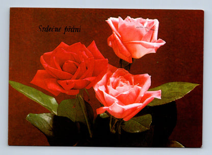 Pohlednice Srdečné přání růže 1986 (M28747)