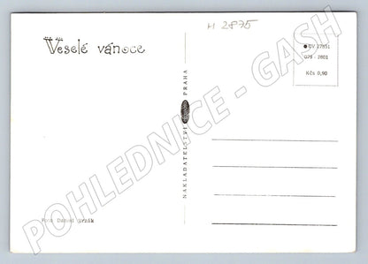 Postcard fruit still life Czech Christmas vintage (M2875)