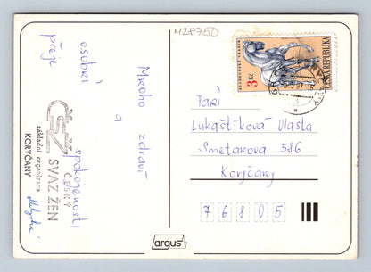 Pohlednice Květiny kytice 1997 (M28750)