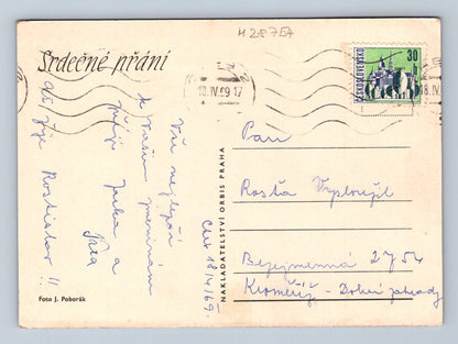 Pohlednice květiny růže 1969 (M28754)