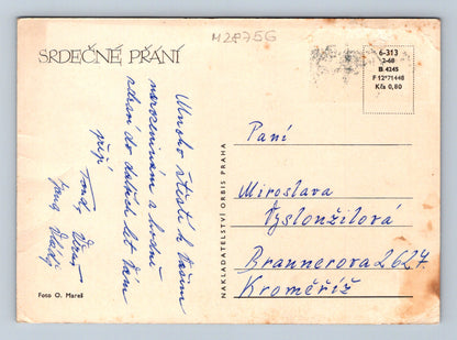 Pohlednice dvě červené růže 1968 (M28756)