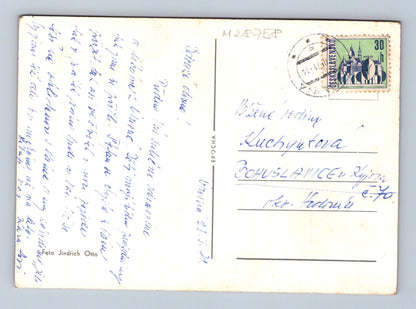 Pohlednice Slovensko růže květiny 1957 (M28758)