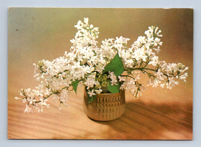 Pohlednice Kytice bílých šeříků, konec 80. let (M28759)