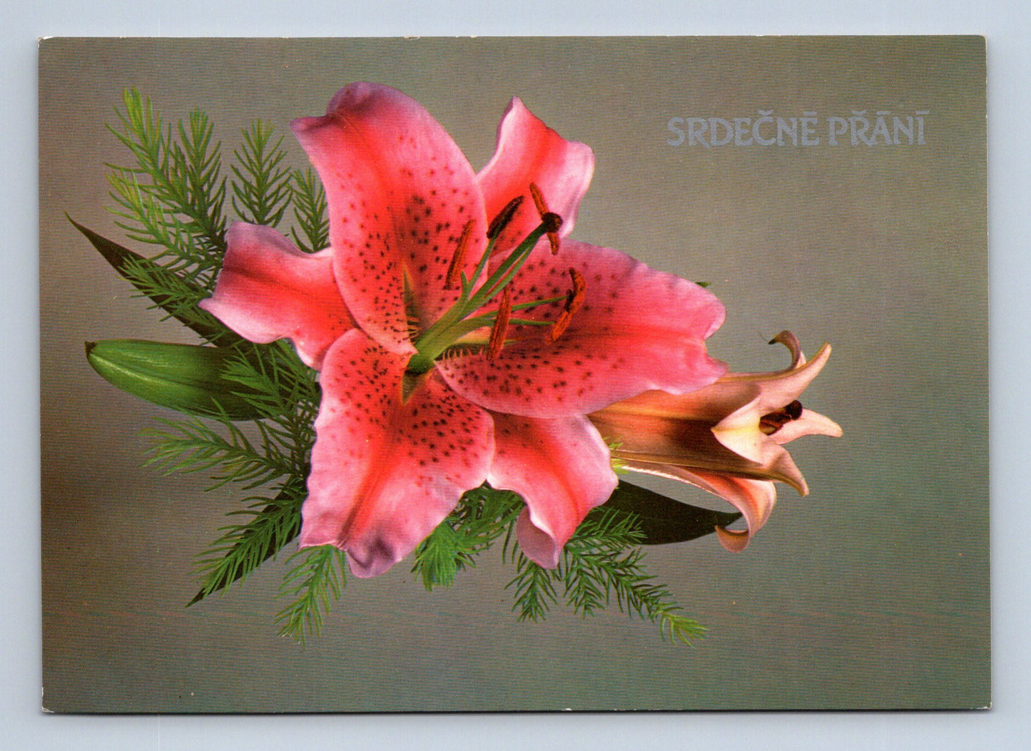 Pohlednice Květiny lilie SRDEČNÉ PŘÁNÍ 194x (M28763)