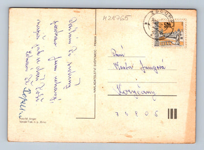 Pohlednice Květina oranžová jiřina cca 1960 (M28765)