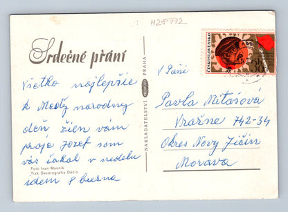 Pohlednice Slunečnice ve váze Kresfoto Praha (M28772)