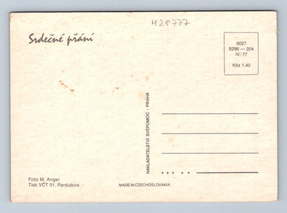 Pohlednice Gladioly květiny 1977 (M28777)