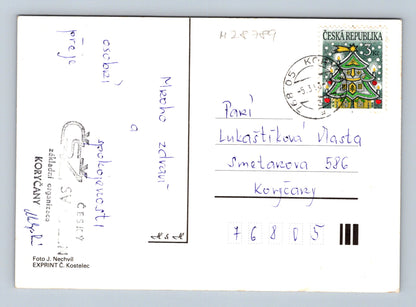 Pohlednice Koryčany květiny lilie 2013 (M28789)