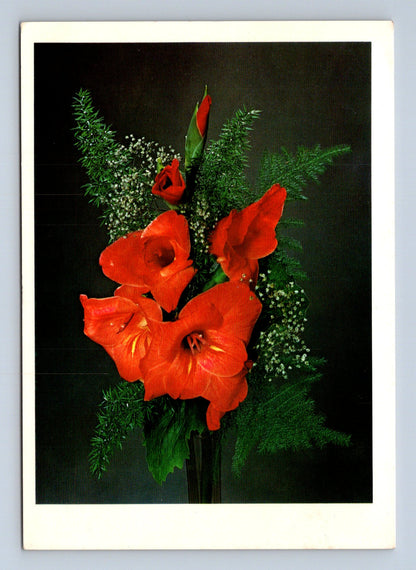 Pohlednice Květiny mečíky 2001 (M28796)