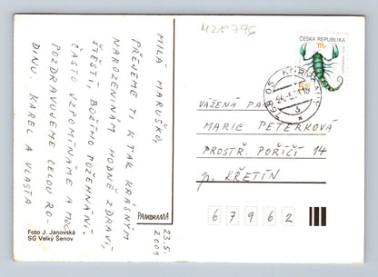 Pohlednice Květiny mečíky 2001 (M28796)