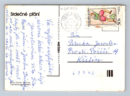 Pohlednice růže ve váze 1980 (M28797)