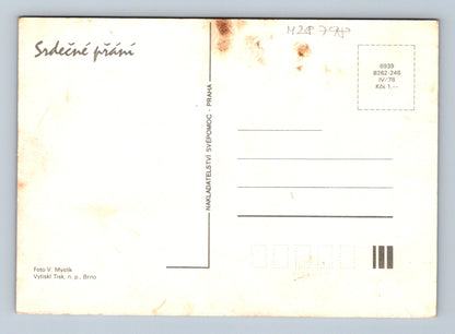 Pohlednice Kvetoucí růžové květy 1978 (M28798)