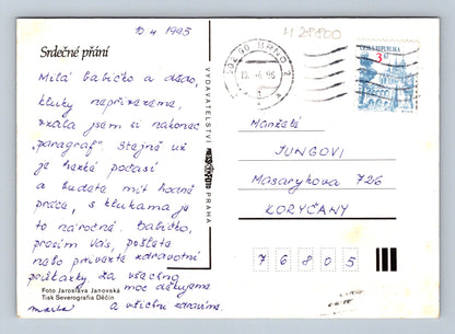 Pohlednice Lilie květiny 1995 (M28800)