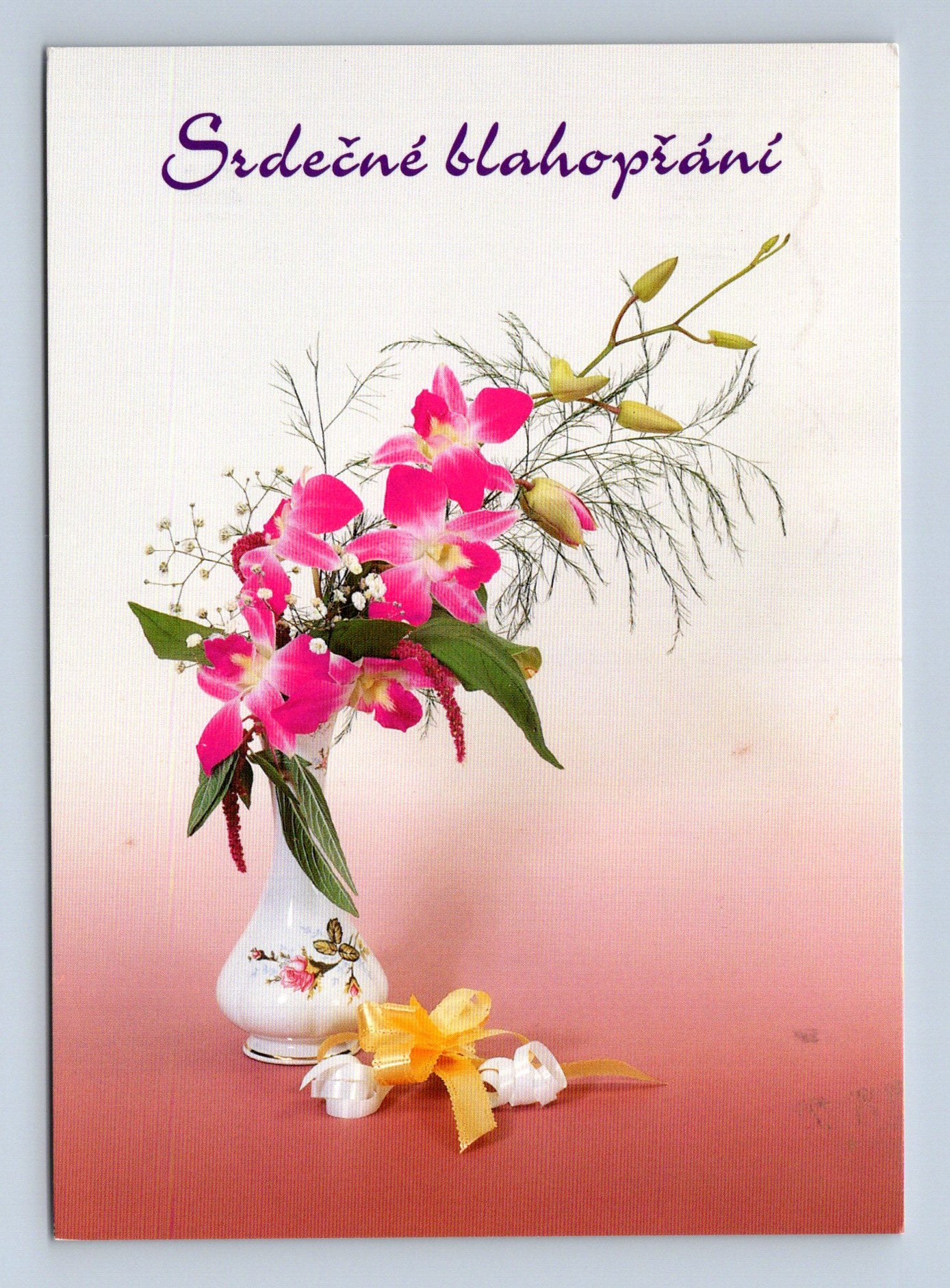 Pohlednice Srdečné blahopřání orchideje 2000 (M28807)