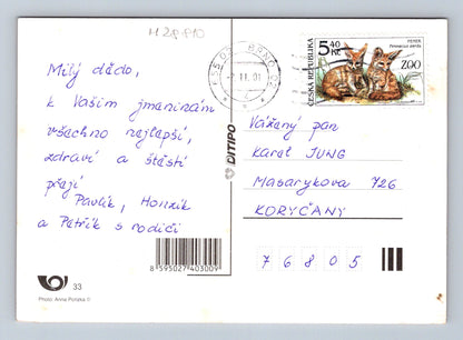 Pohlednice Kytice růží Vše nejlepší 2001 (M28810)
