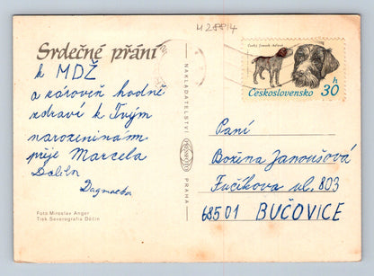 Pohlednice Tři růže ve váze 1968 (M28814)