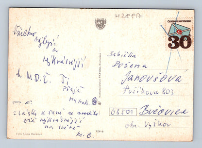 Pohlednice květiny (M28817)