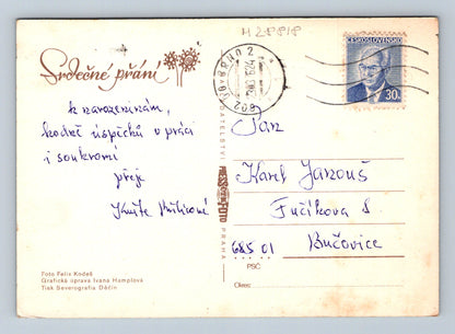Pohlednice Československo červená růže 1984 (M28818)