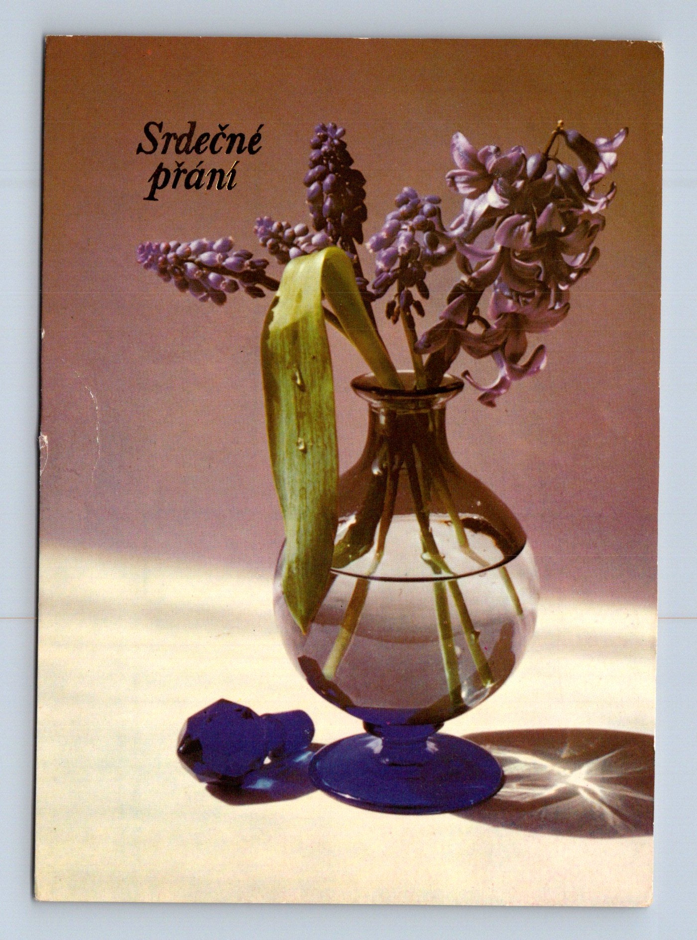 Pohlednice Brno hyacinty ve váze Srdečné přání 1984 (M28825)