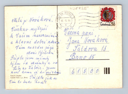 Pohlednice Brno hyacinty ve váze Srdečné přání 1984 (M28825)